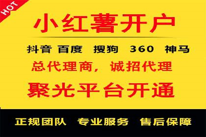 SEM代理操作技巧：成功案例揭秘